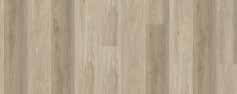 Beach Oak