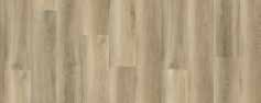 Conch Oak