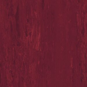 Standard XL - Black Cherry