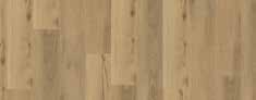 Creek Oak