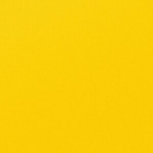 Lemon Punch