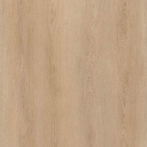 DESERT OAK